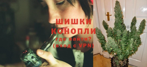 винт Новозыбков